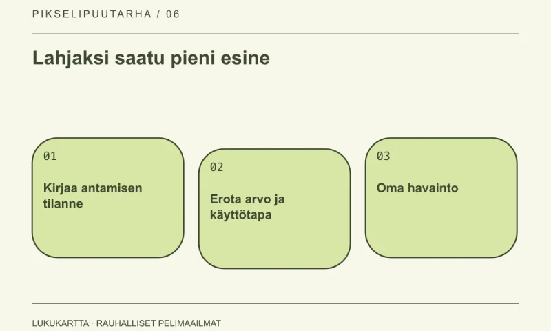 Lukukartta: Lahjaksi saatu pieni esine. Kirjaa antamisen tilanne, Erota arvo ja käyttötapa, Oma havainto.